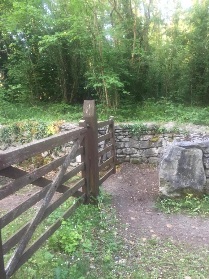 Sallys Cabin Kilcolgan Luaran gambar