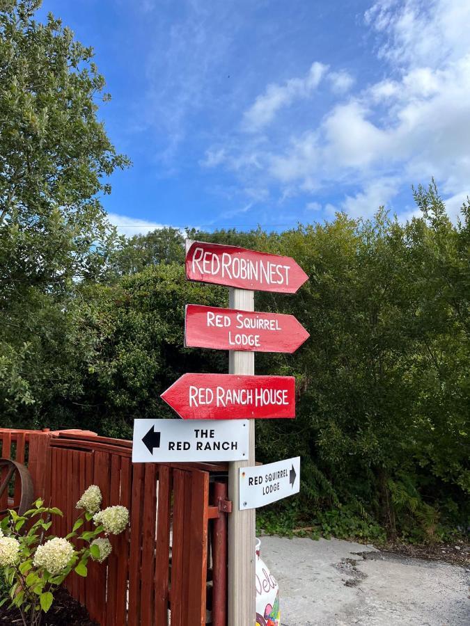 Sallys Cabin Kilcolgan Luaran gambar